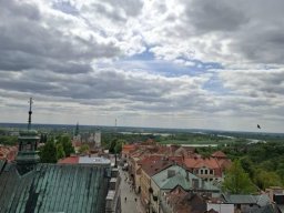 49556254811540768898535917233921280768593448n